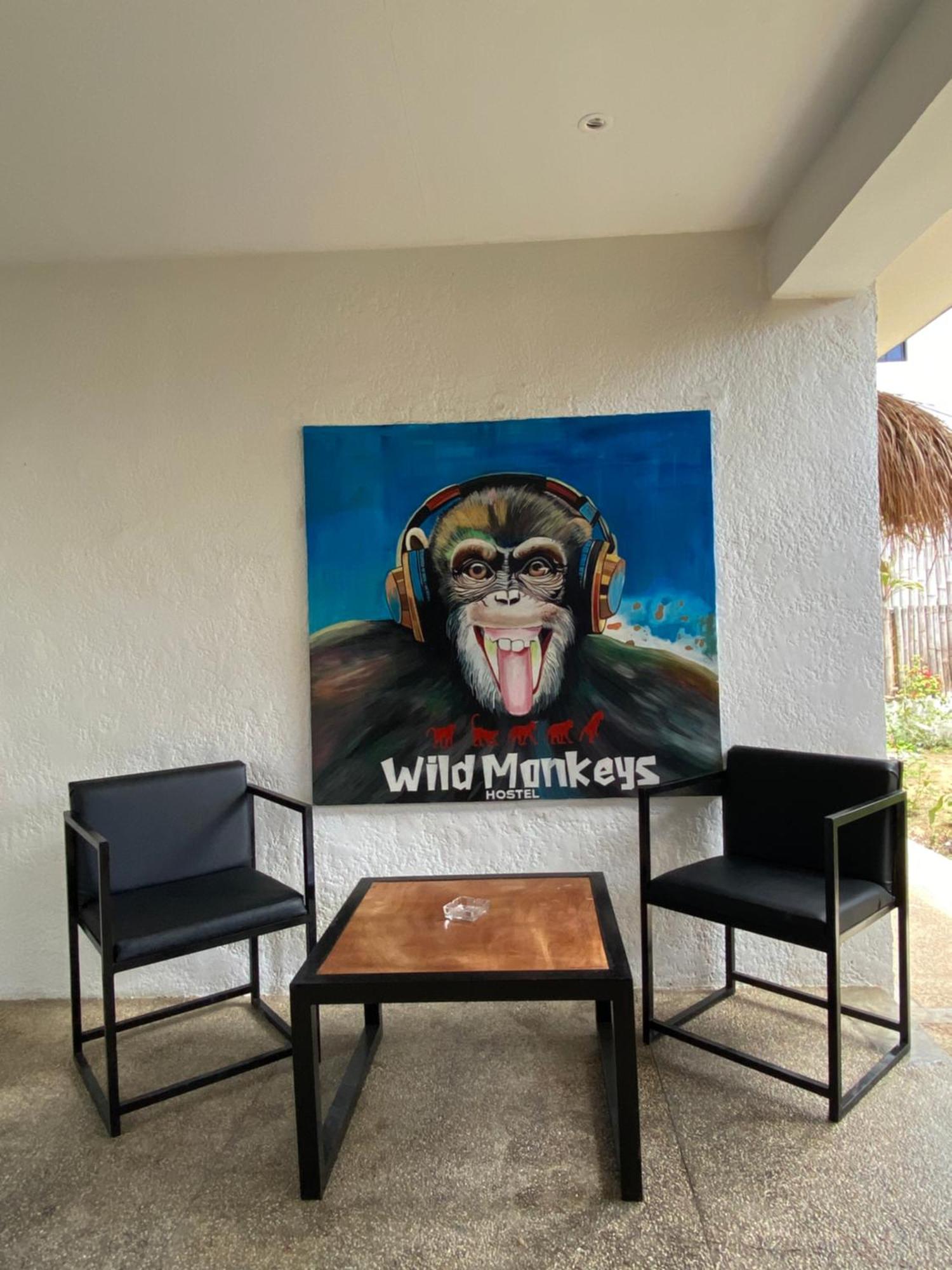 Wild Monkeys Hostel Моалбоал Экстерьер фото